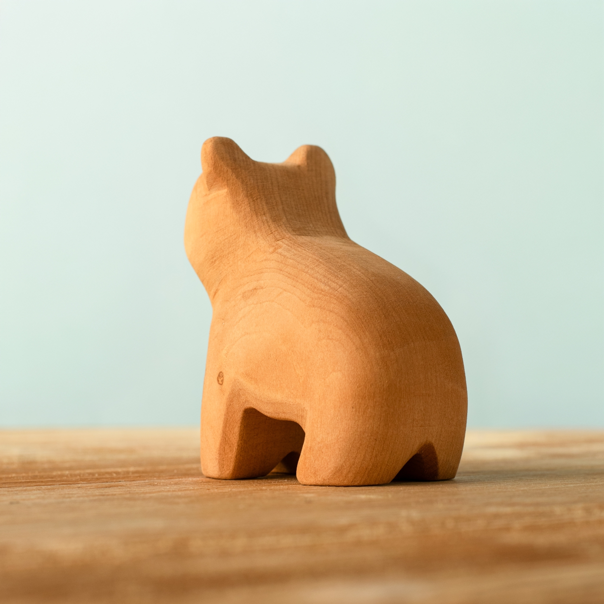 Curious Bear Special