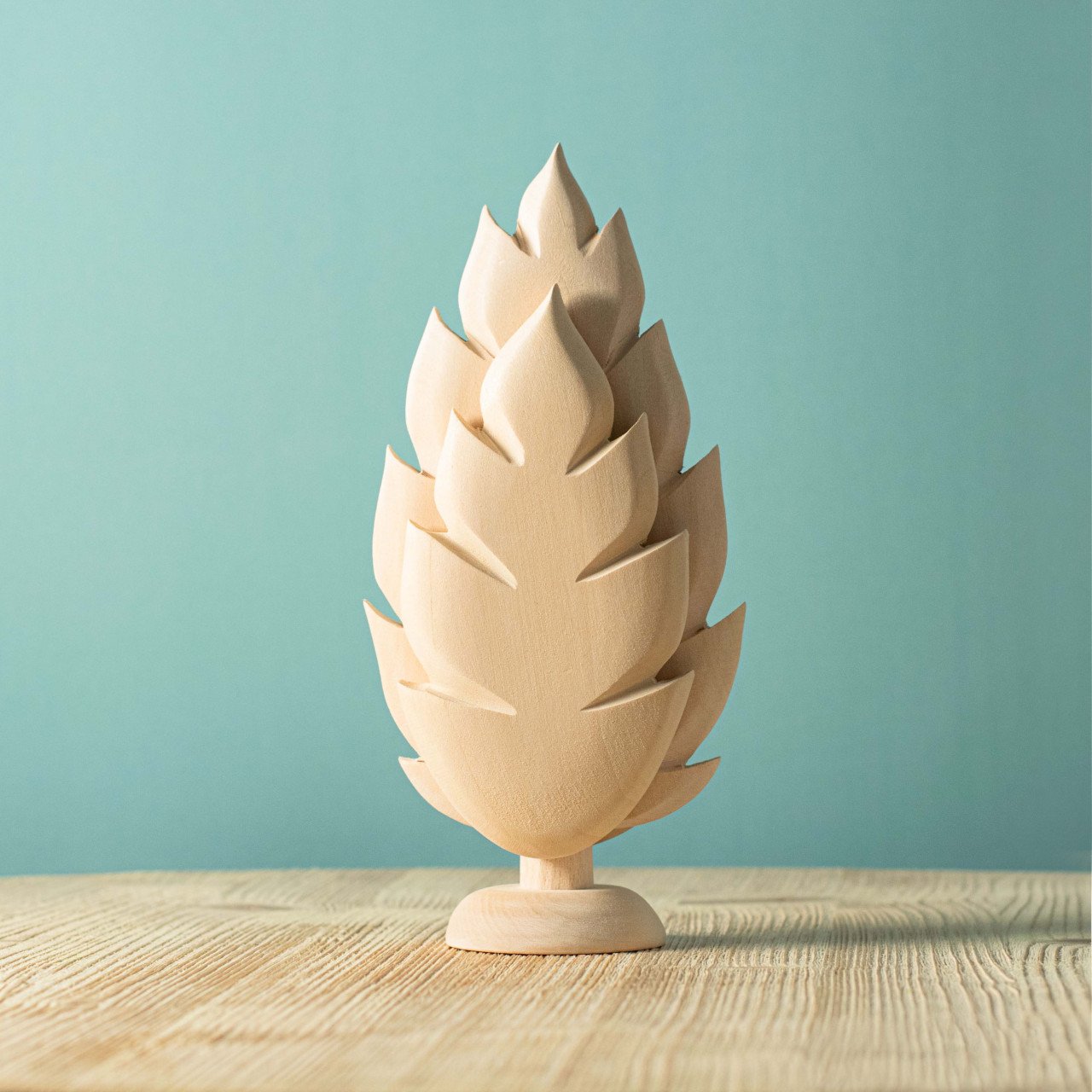Large Thuja NAKED