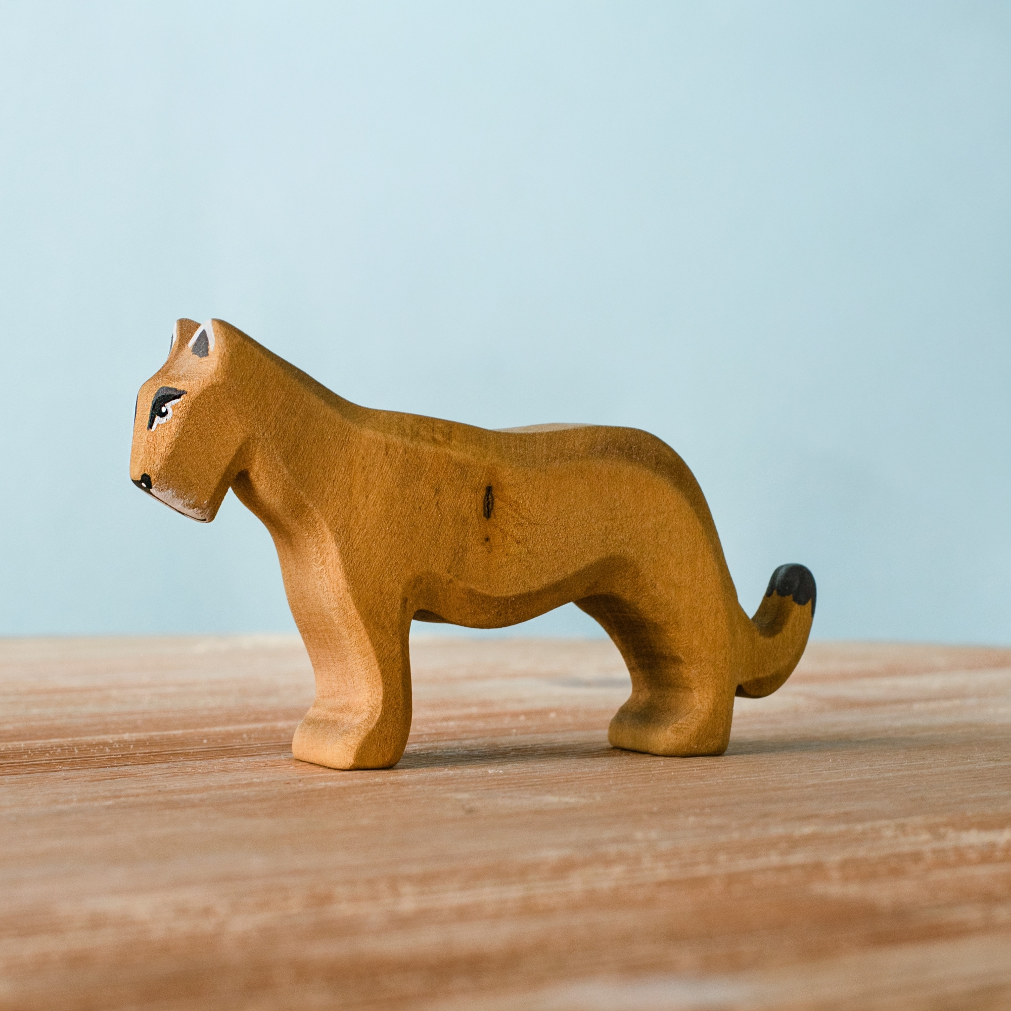 Lion Female Special