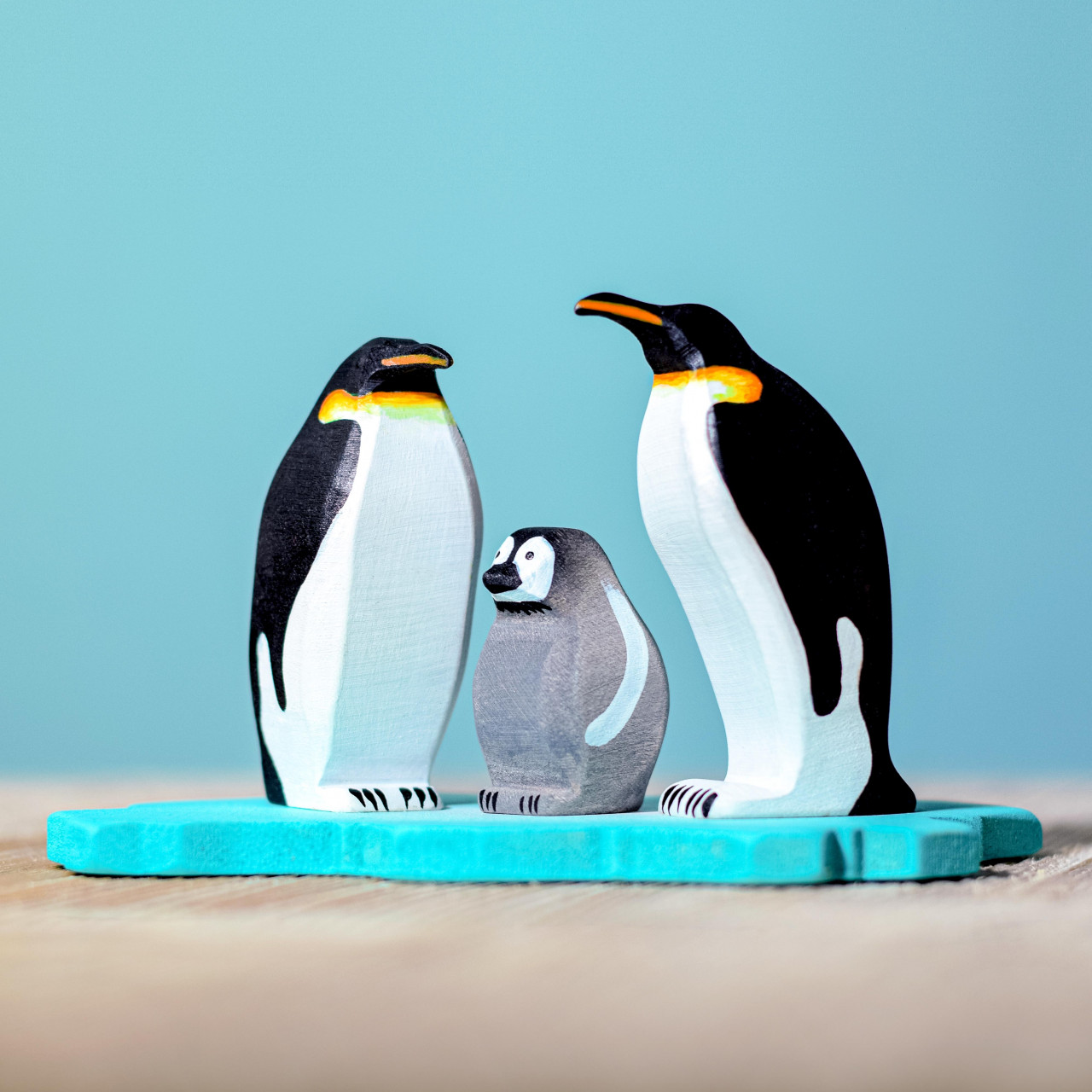 SET Pinguini & Sloi de Gheata