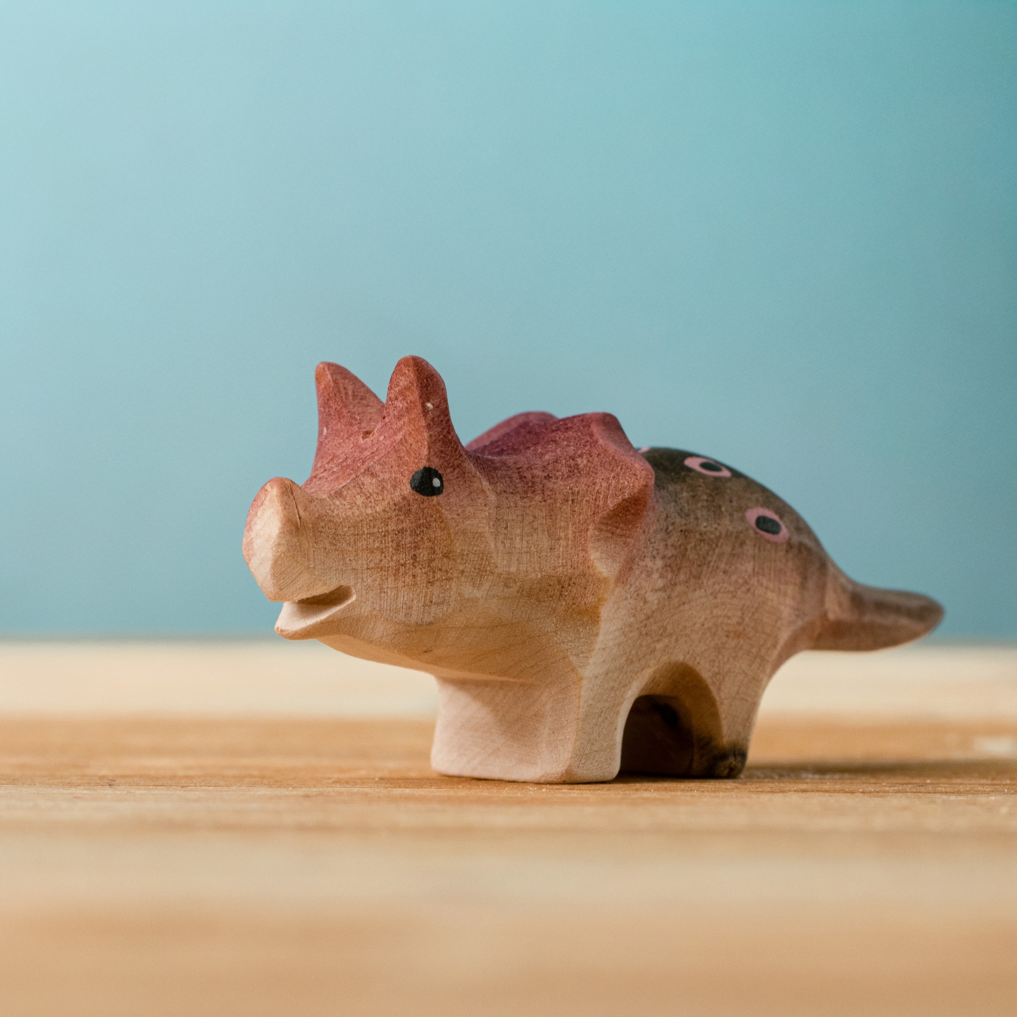 Triceratops Baby Special