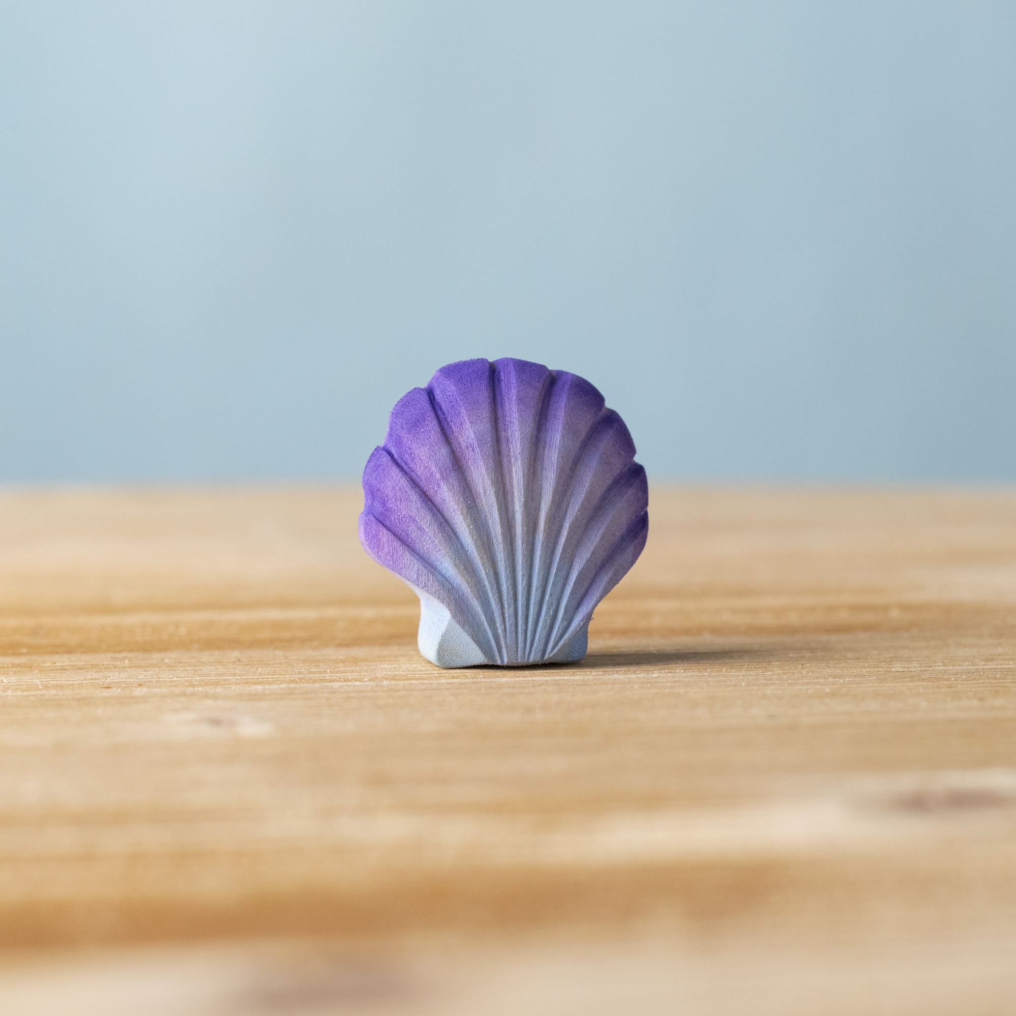 Violet Seashell