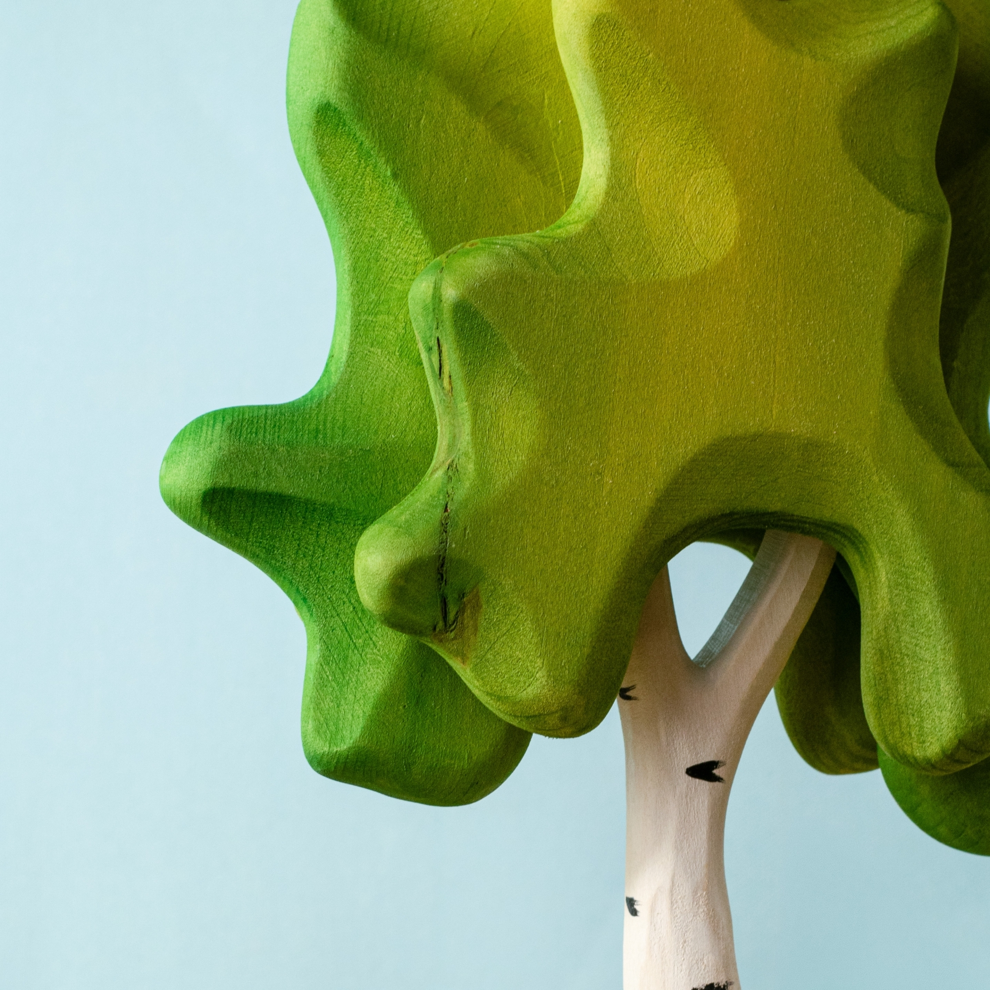 Medium Birch Green Special