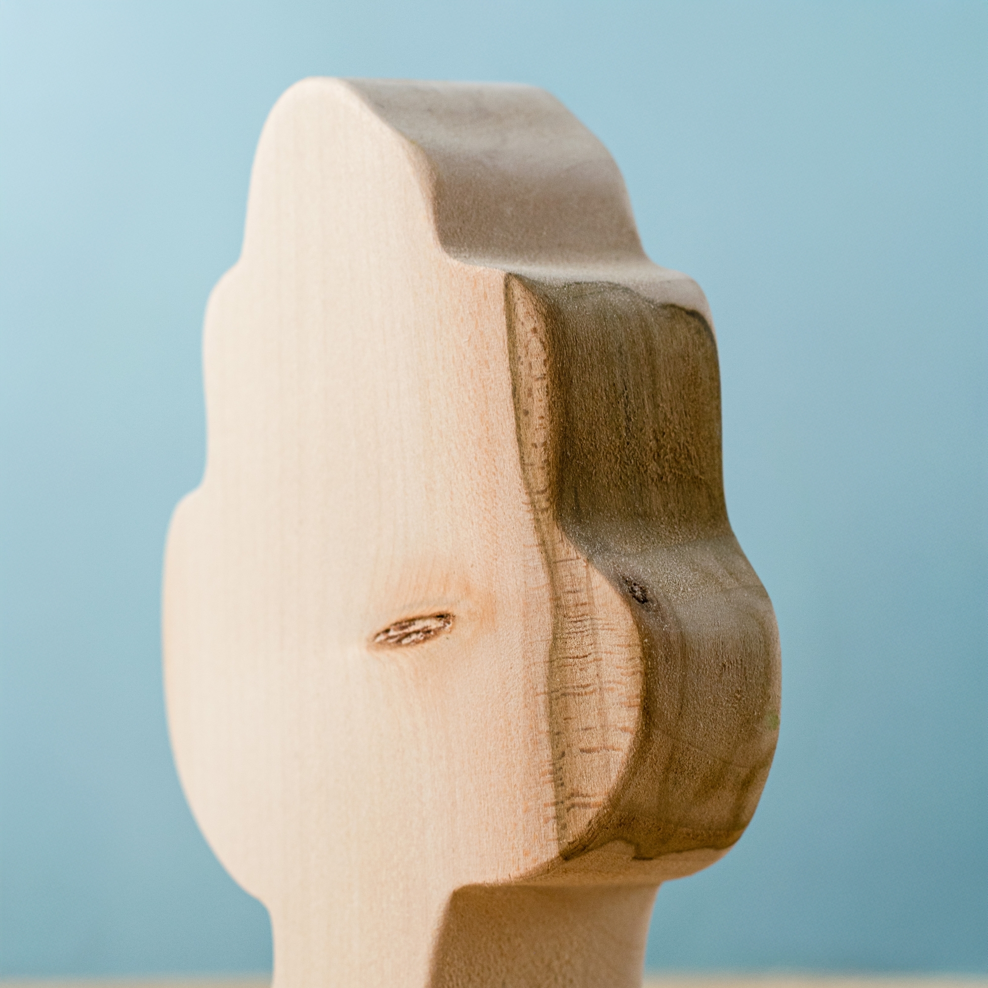 Oak Tree BLANK Special