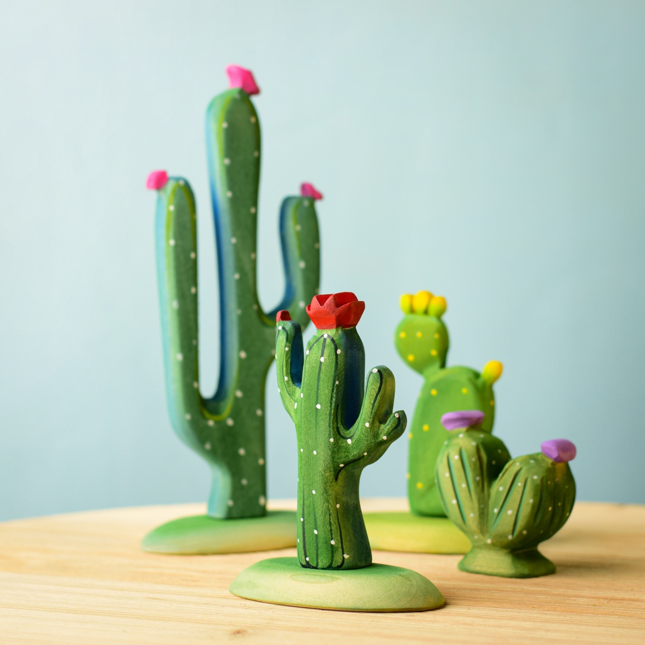 Cactus Saguaro