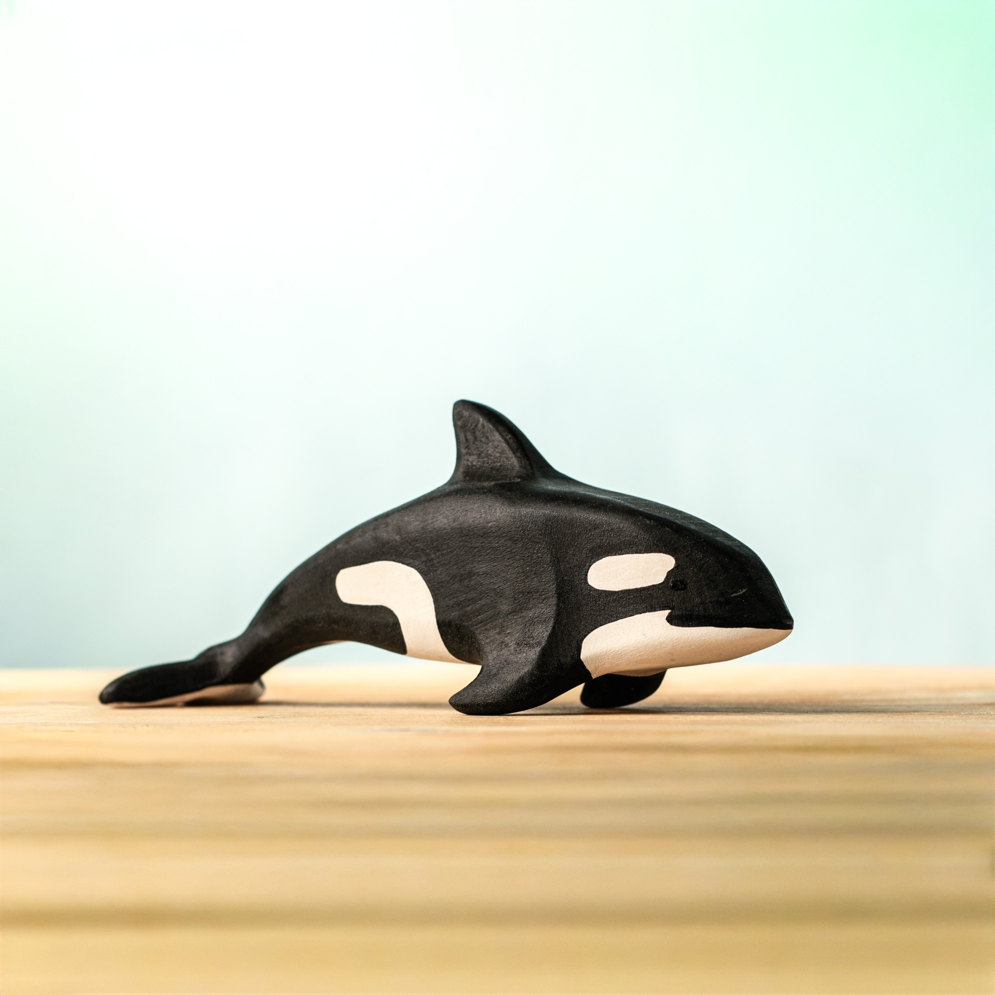 Orca Special