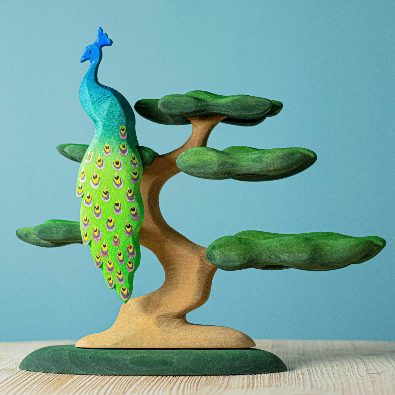 Copac Bonsai