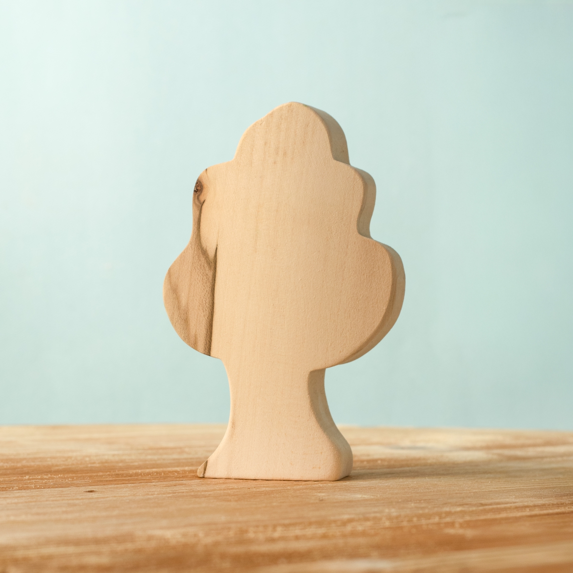 Oak Tree BLANK Special