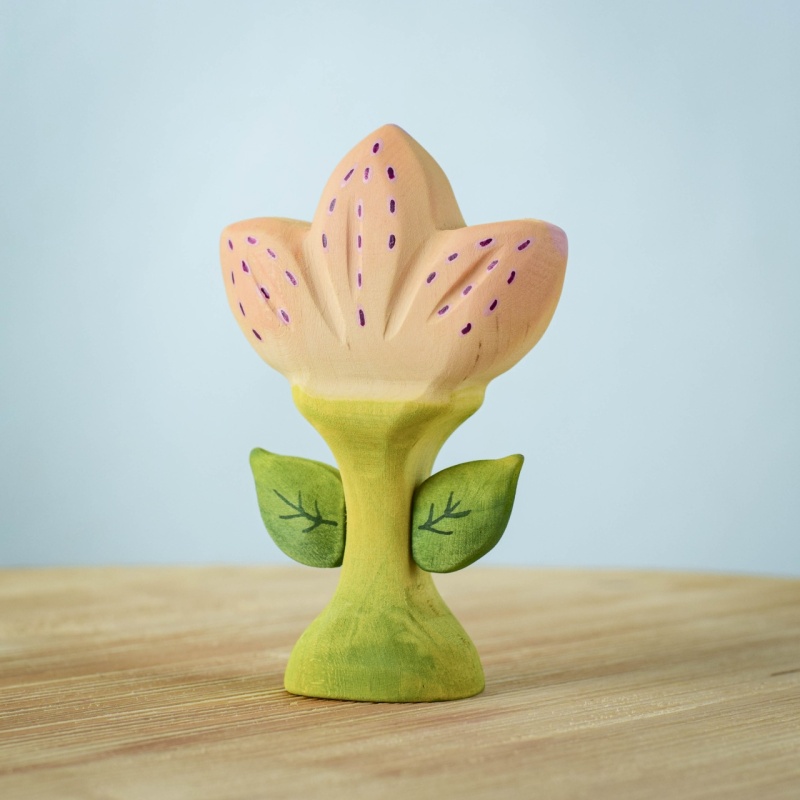 Spring Flower - Zia