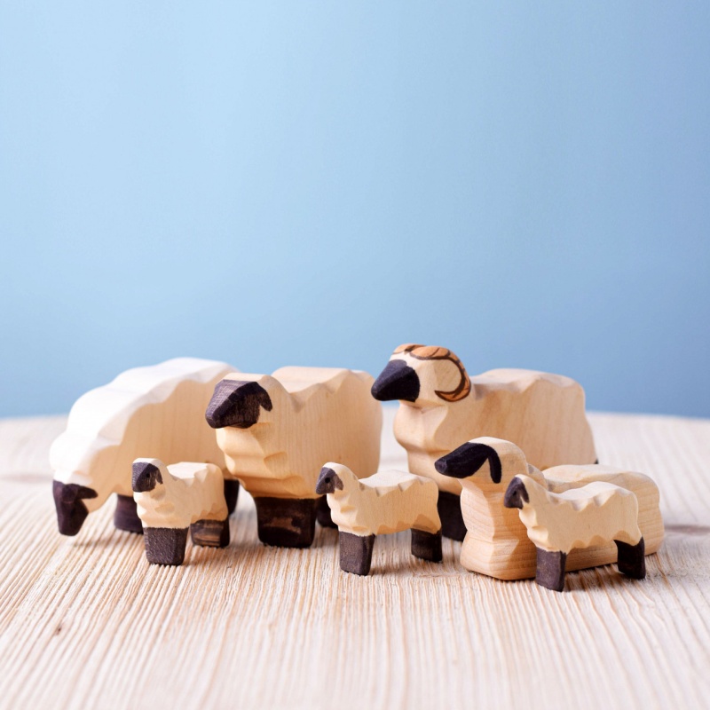 Flock of Sheep SET
