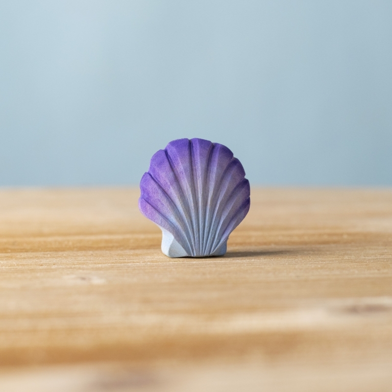 Violet Seashell