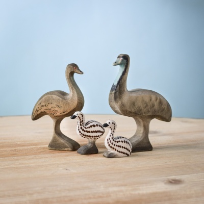 SET Familie de Emu