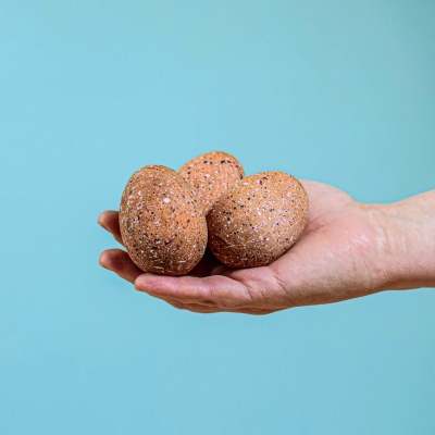 Close-up of Wooden Triceratops Eggs held in hand