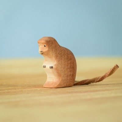 Baby Monkey