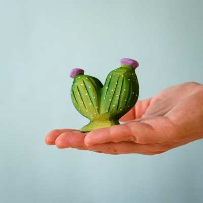 Cactus Pernă cu Ac