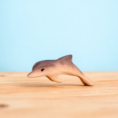 Delfin pui