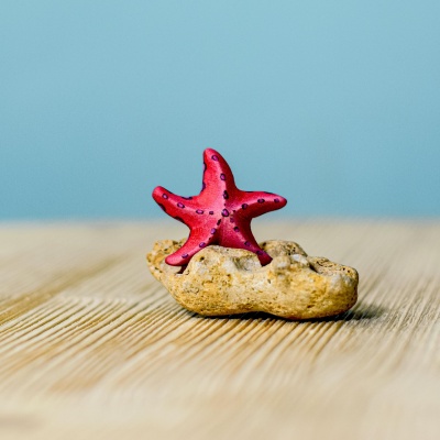 Sustainably made Red Starfish Set, painted with non-toxic colors for safe play