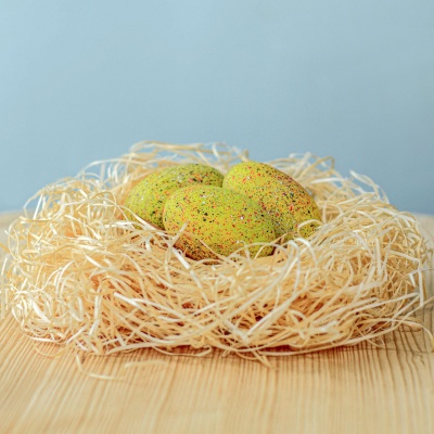 Set of three handcrafted wooden stegosaurus eggs in a simple nest.