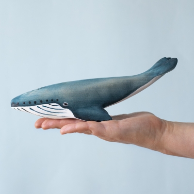 Adult Blue Whale resting in the palm of a hand, showing scale