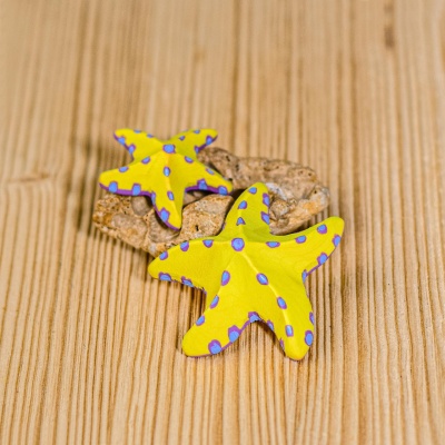Artistic representation of the Yellow Starfish Set in a marine environment