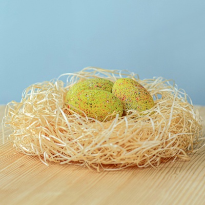 Close-up of a single stegosaurus egg, showing realistic textures.