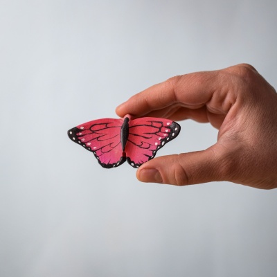 Small pink butterfly held between fingers for size reference.