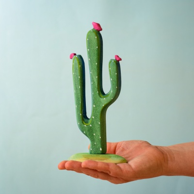 Mexican Cactus
