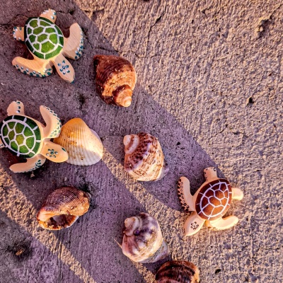 BumbuToys' baby turtle, a wooden representation of sea life's delicate beauty