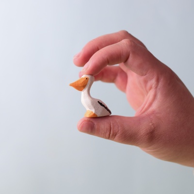 Pelican Chick held gently in a child's hand.