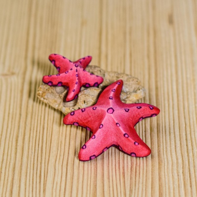 Hands-on learning with the Red Starfish Set, enhancing tactile and visual skills