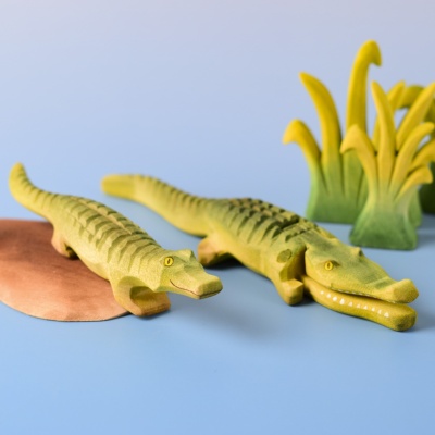 Baby and large crocodile displayed side by side