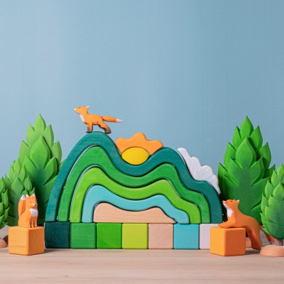 Decorative and educational small wooden thuja, bringing the forest indoors.