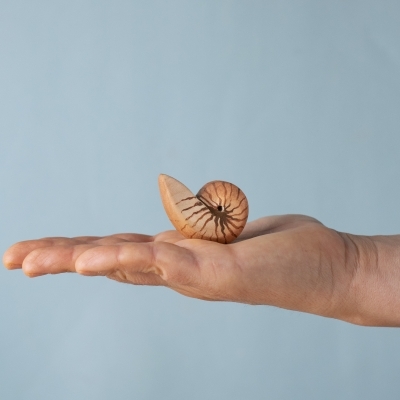 Wooden spiral shell toy displayed in an open palm for size reference