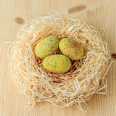 Stegosaurus Eggs SET displayed on a child's bedroom shelf.