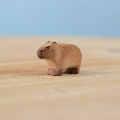 Baby Capybara