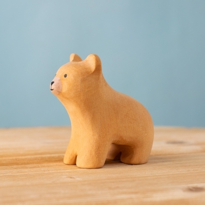 Curious Bear