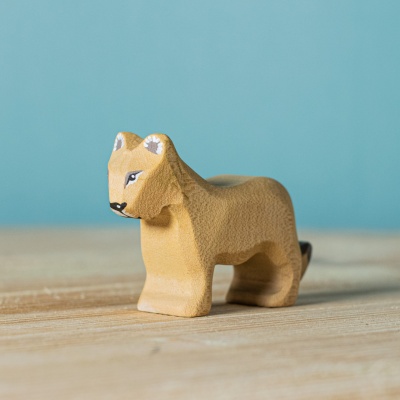 Lion Cub