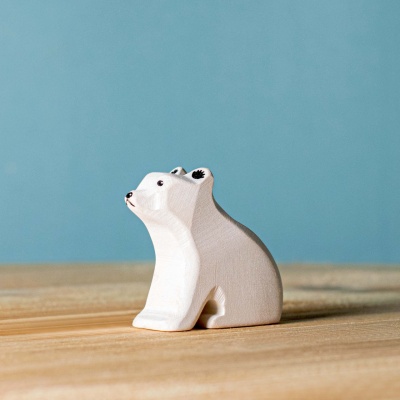 Pui De Urs Polar Sezand