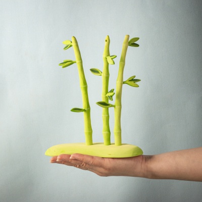 Bamboo tree held in hand showing scale and height