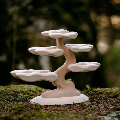 Creative Project Blank Bonsai Tree