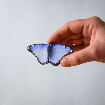 Small blue butterfly held between fingers, showing wing detail and size.