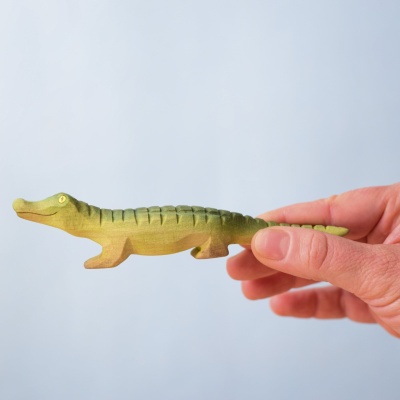 Pui de Crocodil