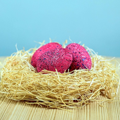 Handcrafted wooden Spinosaurus eggs in a nest