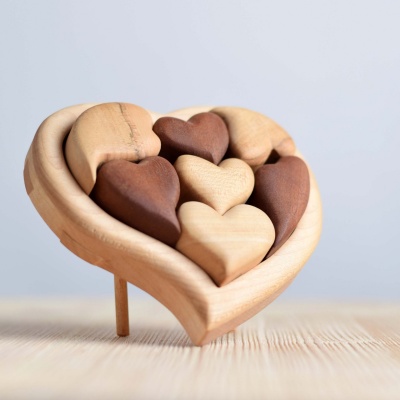 Close-up image of the puzzle pieces, highlighting their chunky size, smooth finish, and unique shapes.