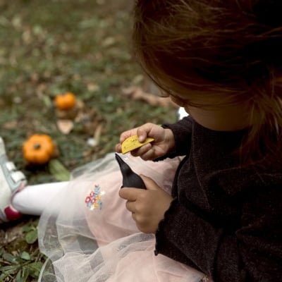 The set incorporated into a sensory bin with natural materials like leaves, twigs, and pine cones.