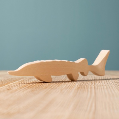 Sturgeon Fish BLANK