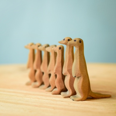 Familie de Suricate