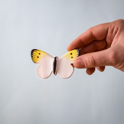 Small yellow butterfly held between fingers, showing its shape and size.