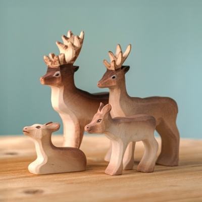 Reindeer Family