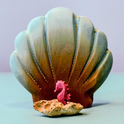 Wooden Shell with Sea Horse